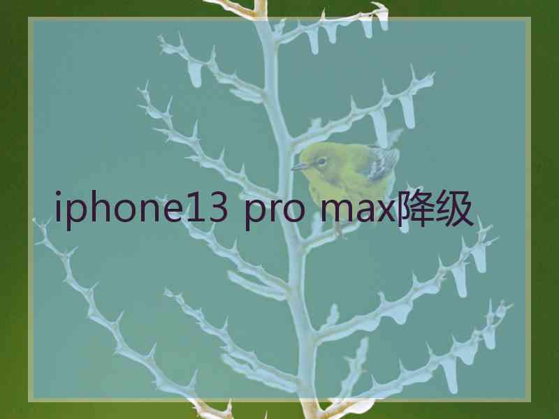 iphone13 pro max降级