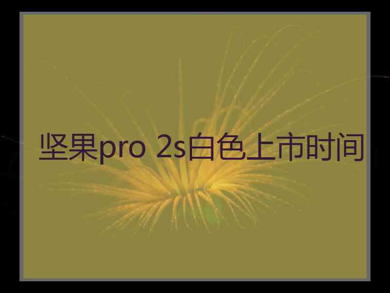 坚果pro 2s白色上市时间