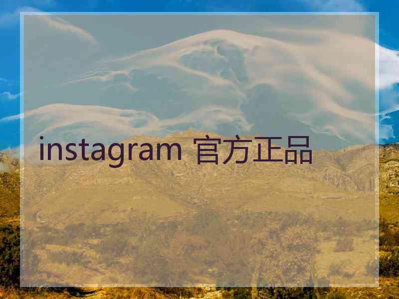 instagram 官方正品