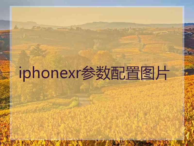 iphonexr参数配置图片