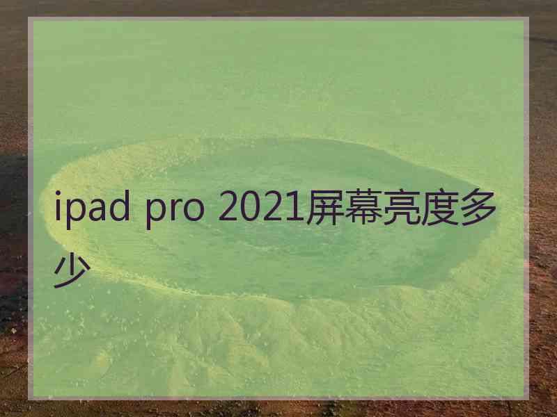 ipad pro 2021屏幕亮度多少