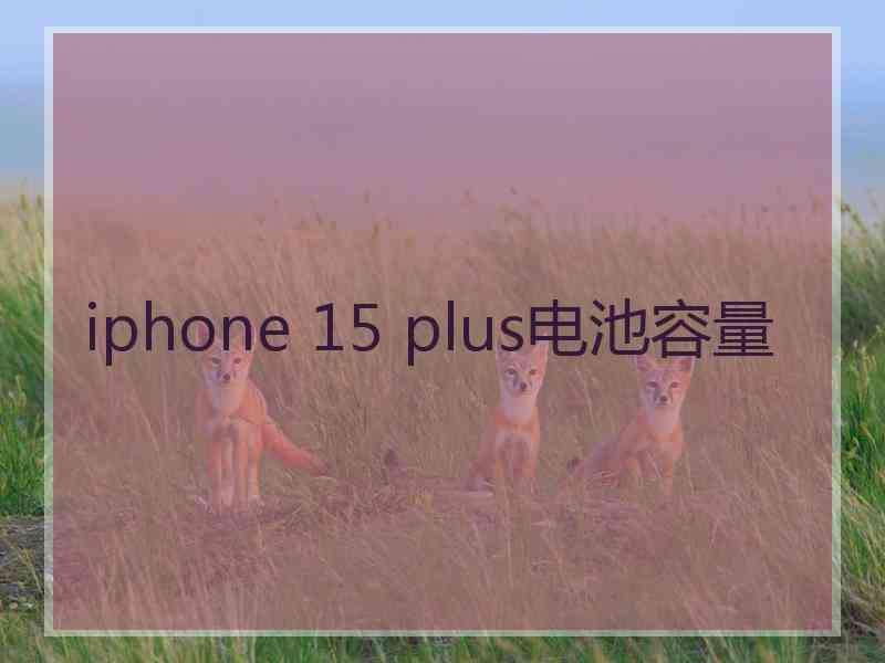 iphone 15 plus电池容量