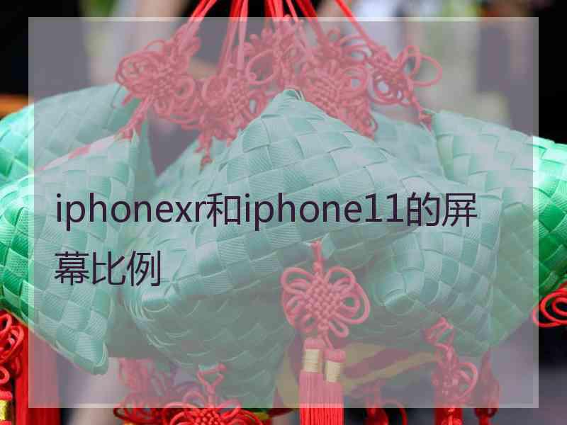 iphonexr和iphone11的屏幕比例