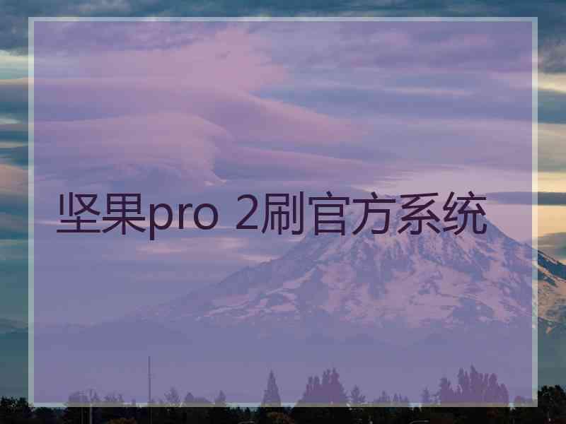 坚果pro 2刷官方系统