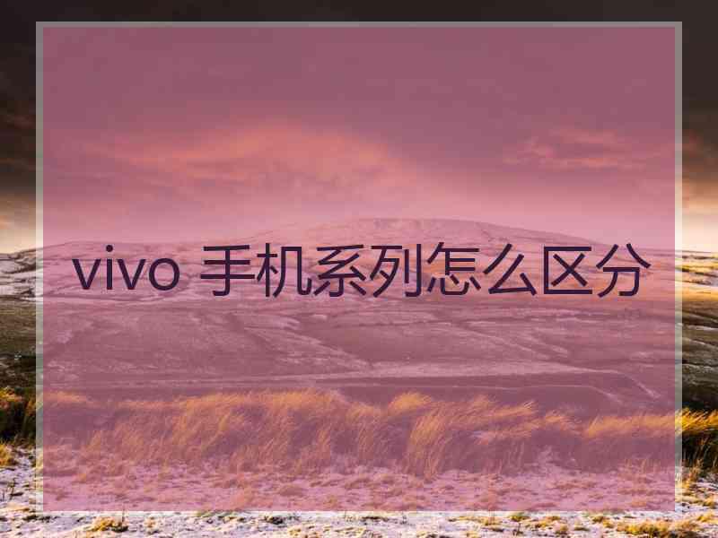 vivo 手机系列怎么区分