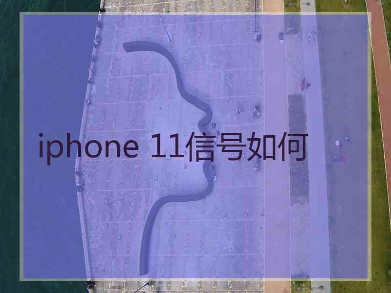 iphone 11信号如何