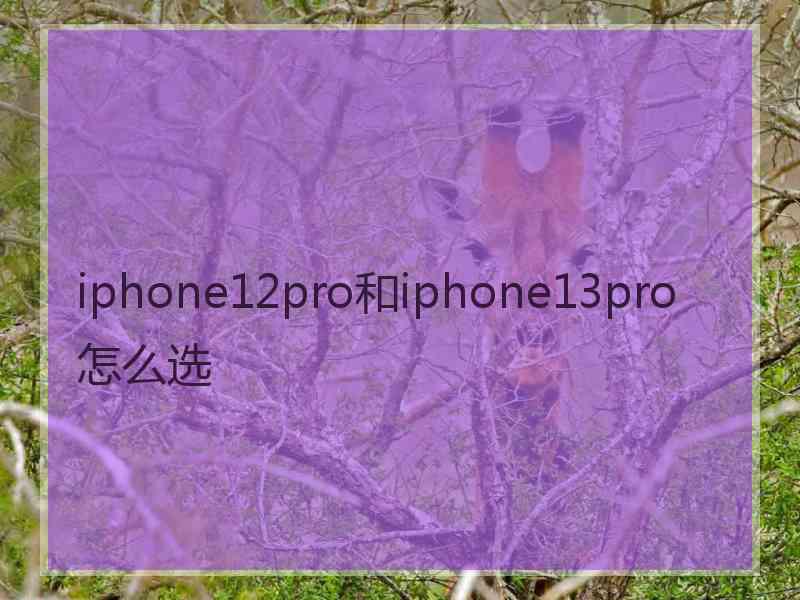 iphone12pro和iphone13pro怎么选