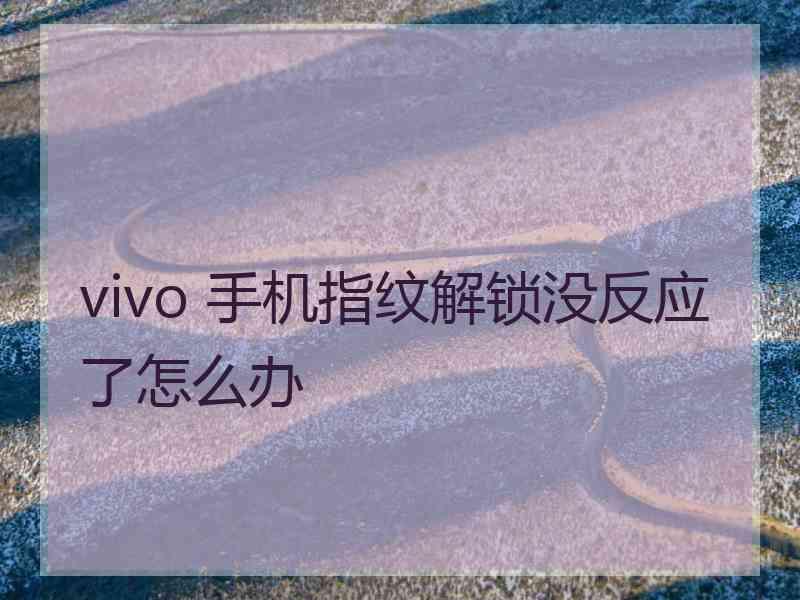 vivo 手机指纹解锁没反应了怎么办