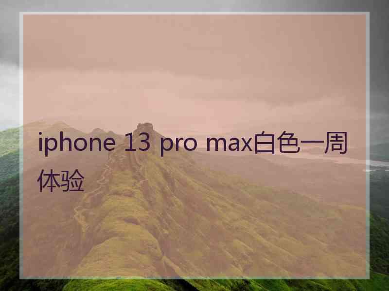 iphone 13 pro max白色一周体验