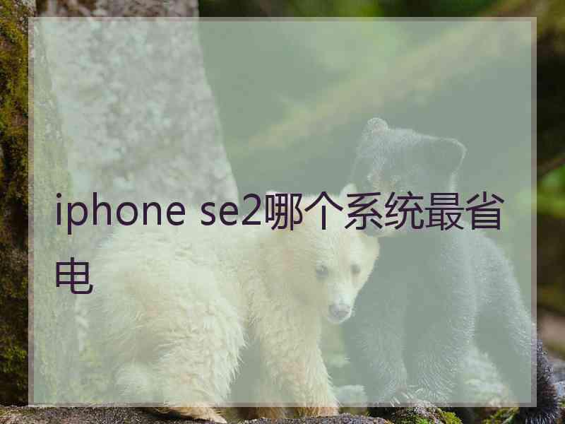 iphone se2哪个系统最省电