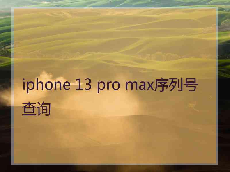 iphone 13 pro max序列号查询