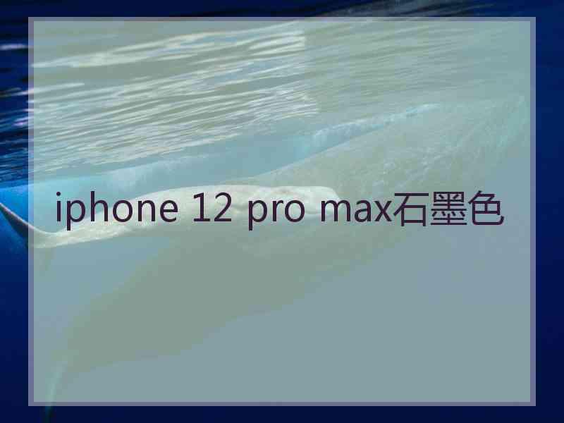 iphone 12 pro max石墨色