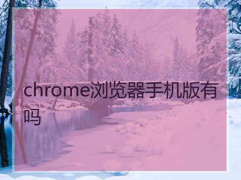 chrome浏览器手机版有吗