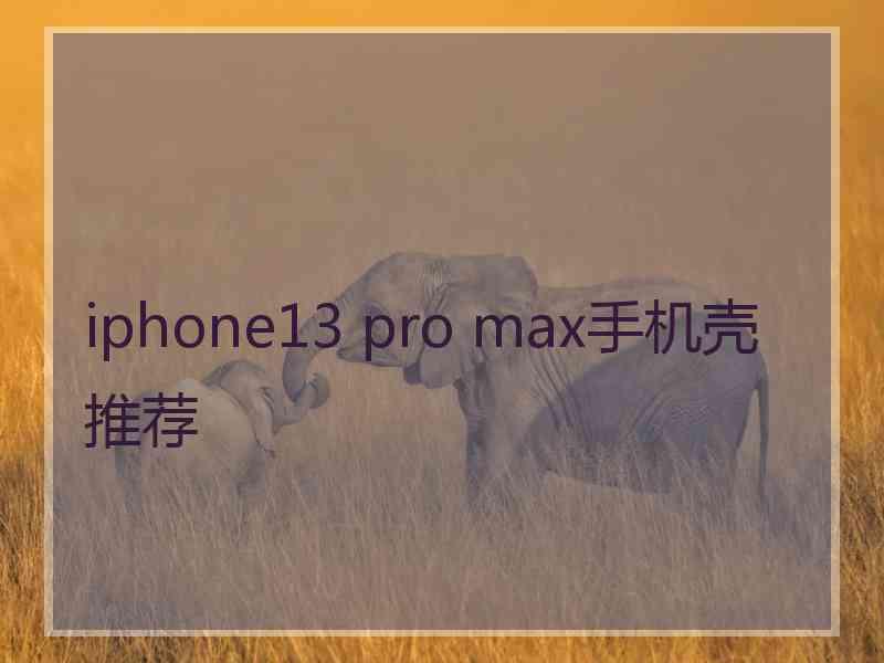 iphone13 pro max手机壳推荐