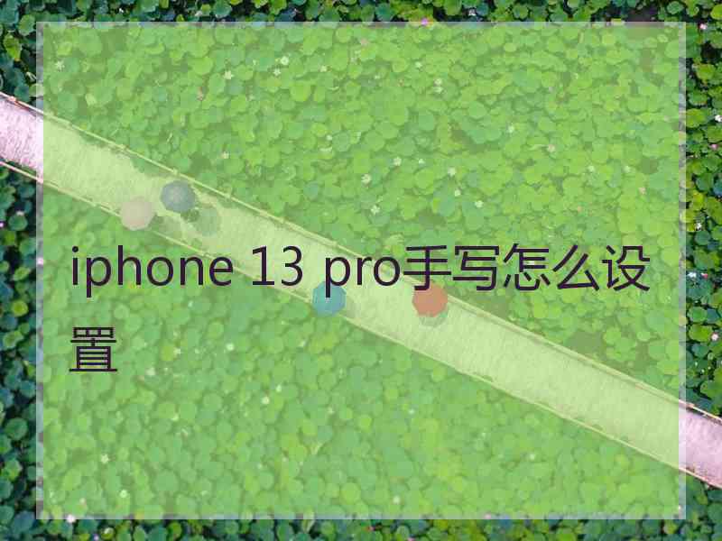 iphone 13 pro手写怎么设置