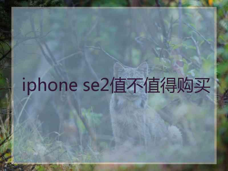 iphone se2值不值得购买