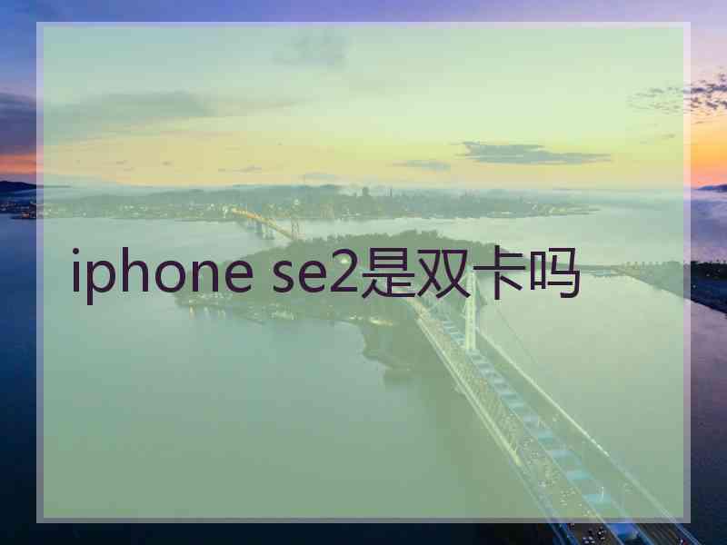 iphone se2是双卡吗