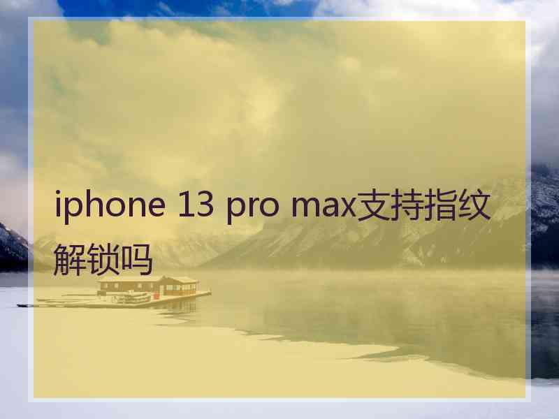 iphone 13 pro max支持指纹解锁吗