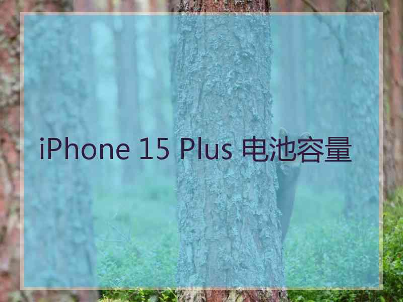 iPhone 15 Plus 电池容量