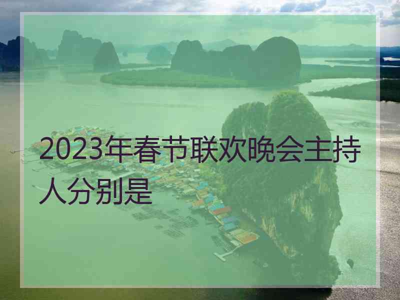 2023年春节联欢晚会主持人分别是