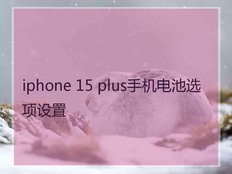 iphone 15 plus手机电池选项设置