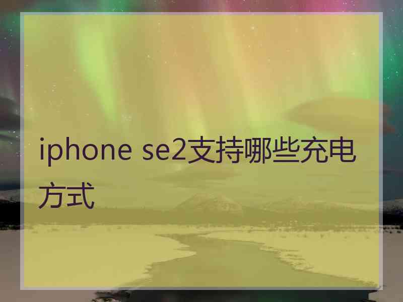 iphone se2支持哪些充电方式