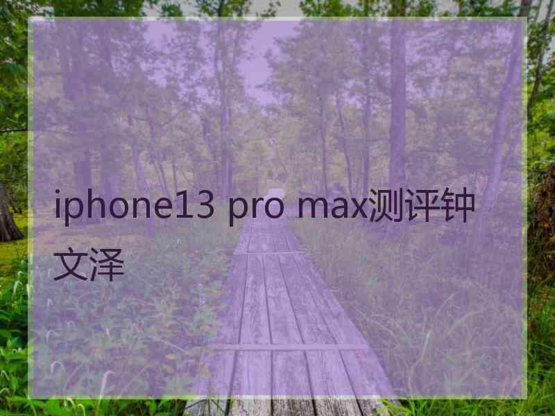 iphone13 pro max测评钟文泽