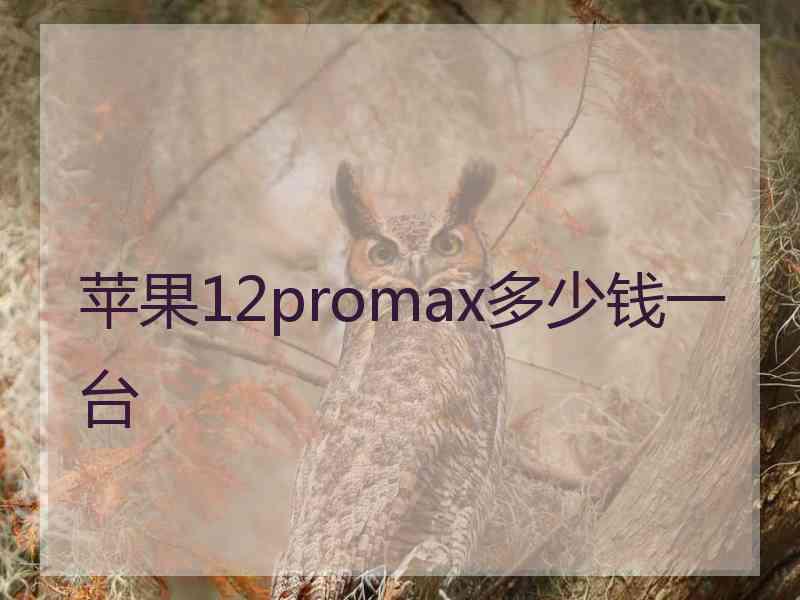 苹果12promax多少钱一台