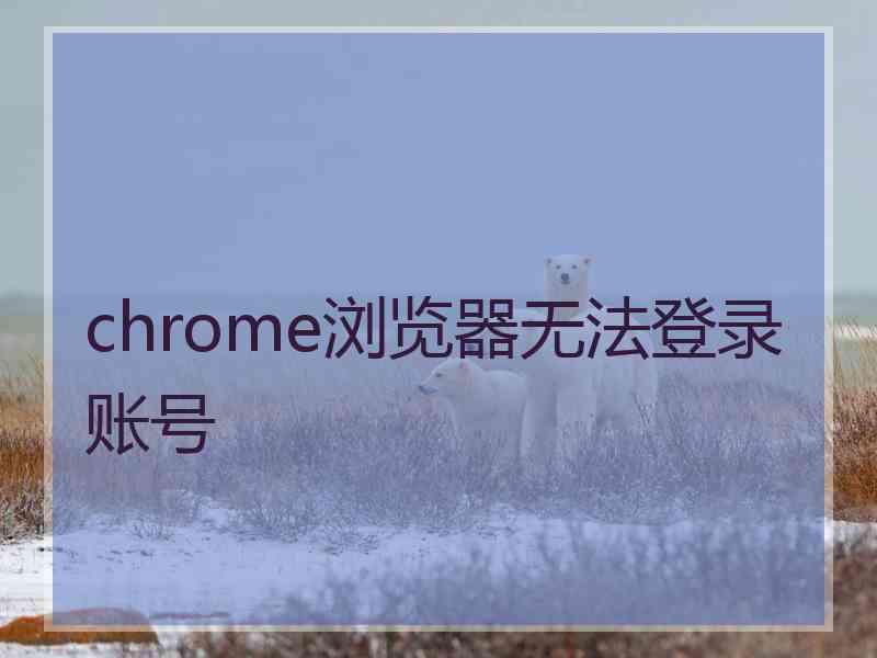 chrome浏览器无法登录账号