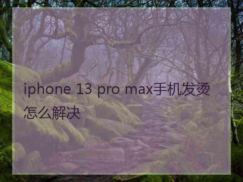 iphone 13 pro max手机发烫怎么解决