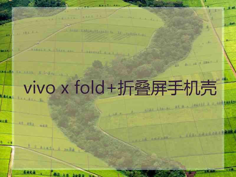 vivo x fold+折叠屏手机壳