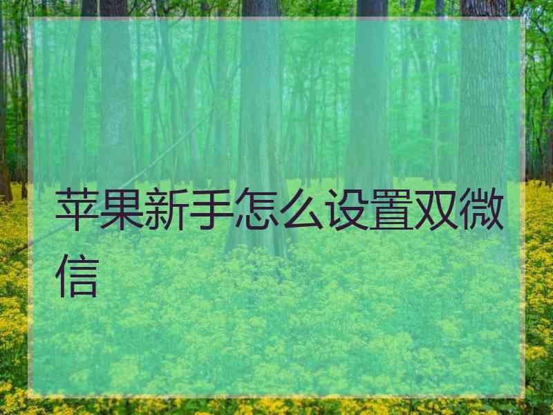 苹果新手怎么设置双微信