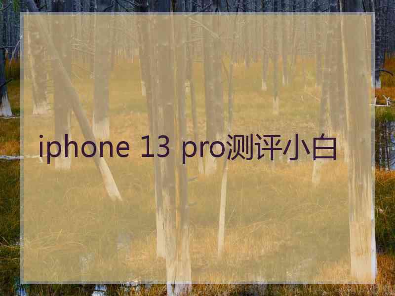 iphone 13 pro测评小白