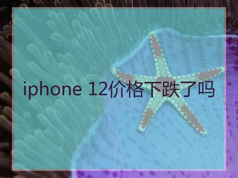 iphone 12价格下跌了吗