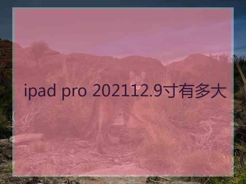 ipad pro 202112.9寸有多大