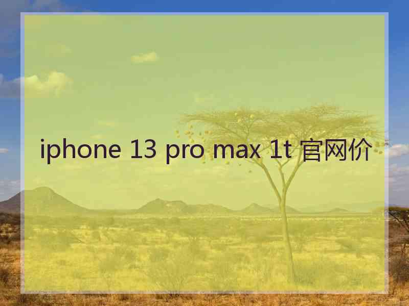 iphone 13 pro max 1t 官网价