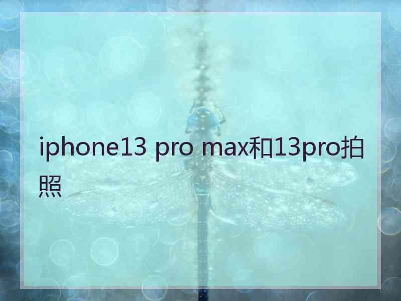 iphone13 pro max和13pro拍照