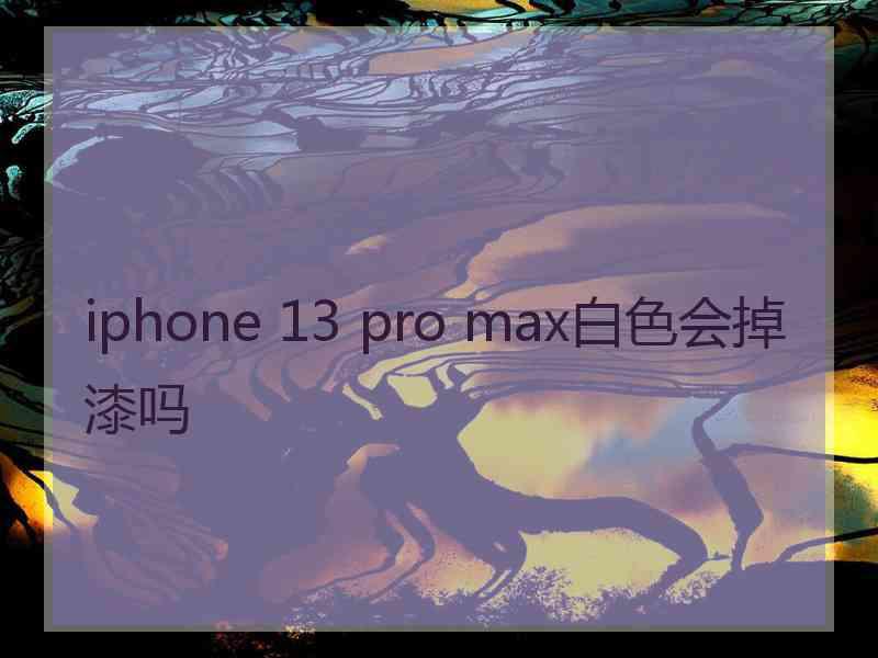 iphone 13 pro max白色会掉漆吗