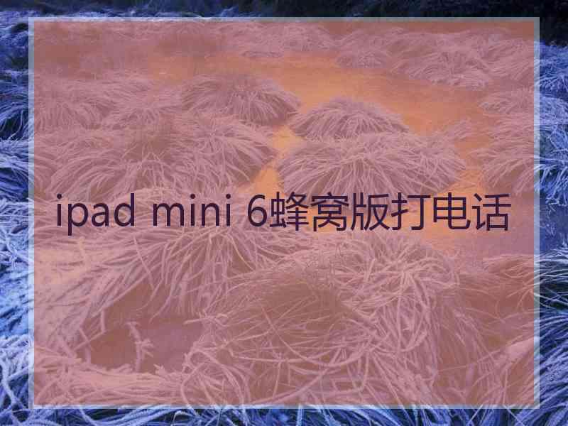 ipad mini 6蜂窝版打电话