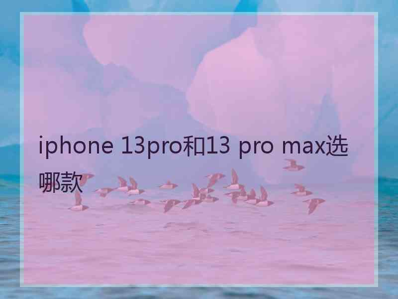 iphone 13pro和13 pro max选哪款