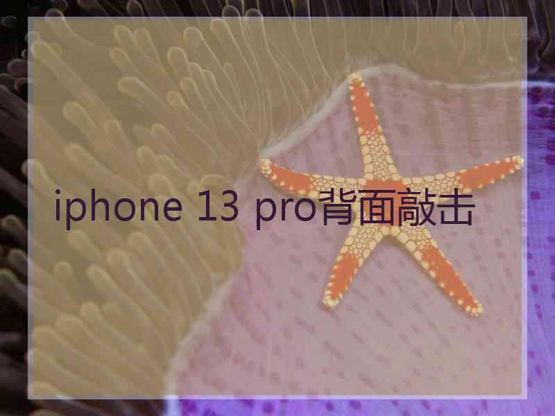 iphone 13 pro背面敲击