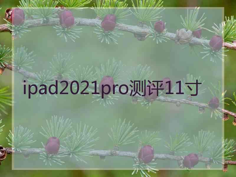 ipad2021pro测评11寸