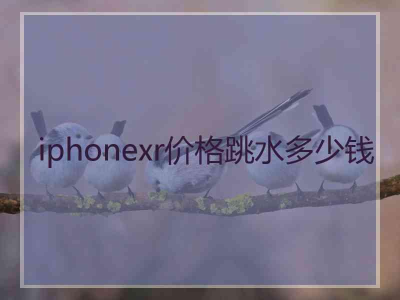 iphonexr价格跳水多少钱