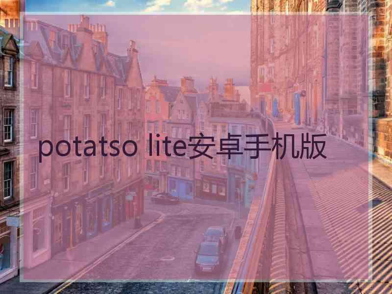 potatso lite安卓手机版