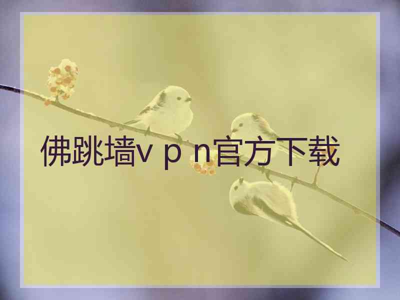 佛跳墙v p n官方下载