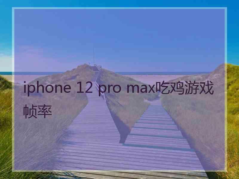 iphone 12 pro max吃鸡游戏帧率