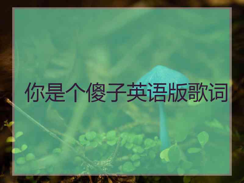 你是个傻子英语版歌词