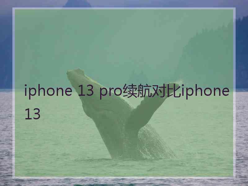 iphone 13 pro续航对比iphone13