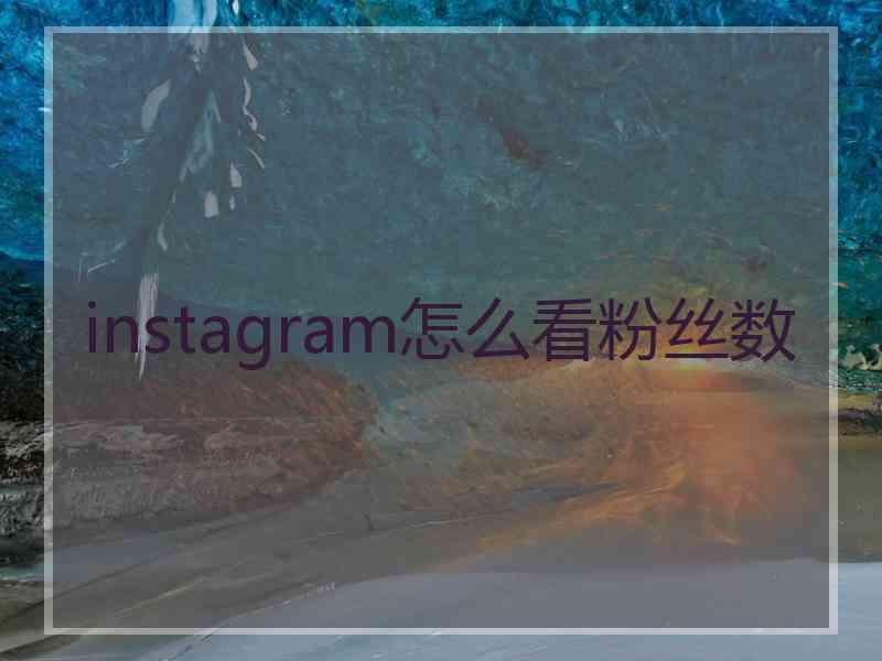 instagram怎么看粉丝数