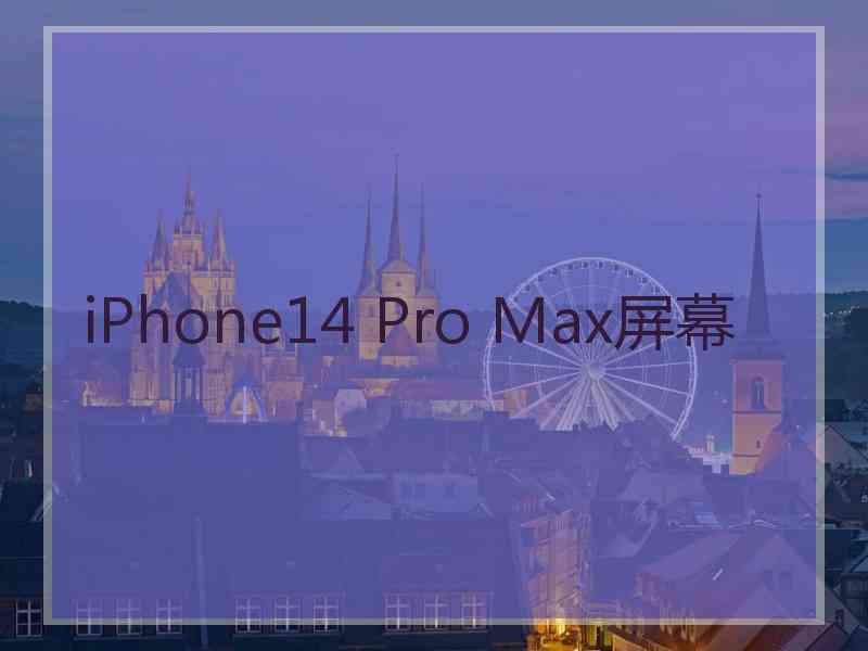 iPhone14 Pro Max屏幕